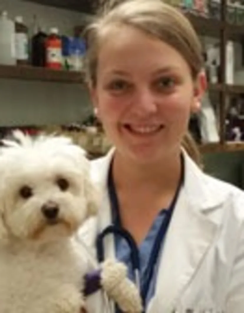Dr. Heather Theriot in University Animal Clinic